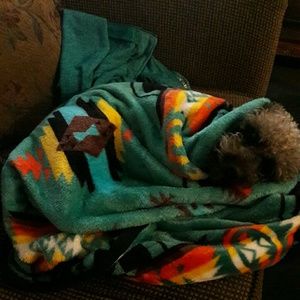 Meet your Posher, Adriana